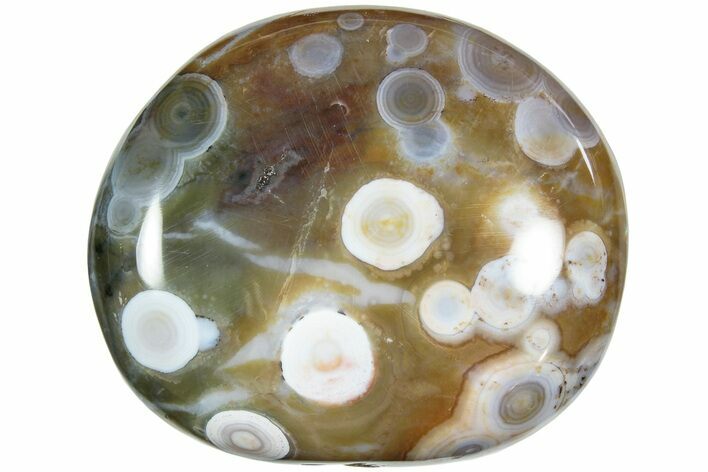 Polished Ocean Jasper Stone - New Deposit #223001